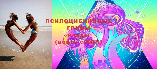 Альфа ПВП Алзамай