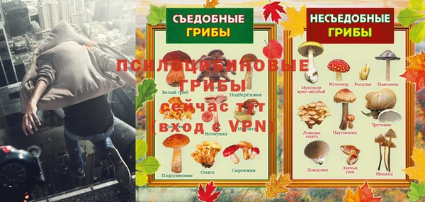 спайс Алексин