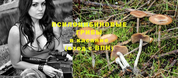 Альфа ПВП Алзамай
