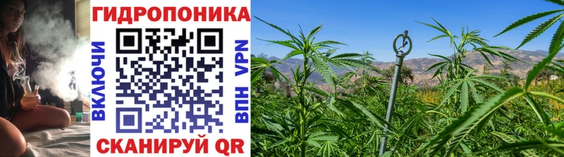 Каннабис MAZAR  как найти закладки  Лермонтов 